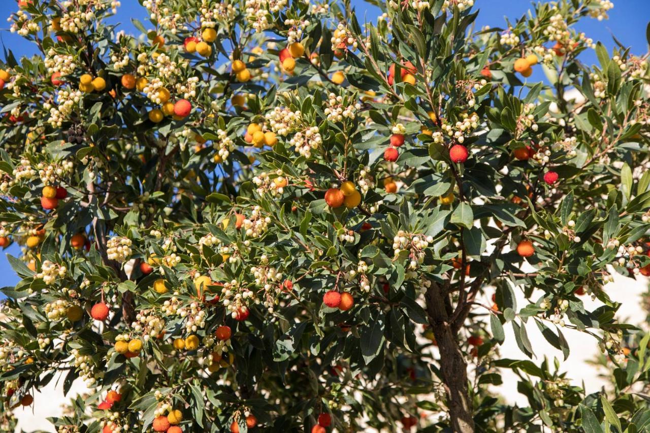 Masseria Lilei Lizzanello Luaran gambar