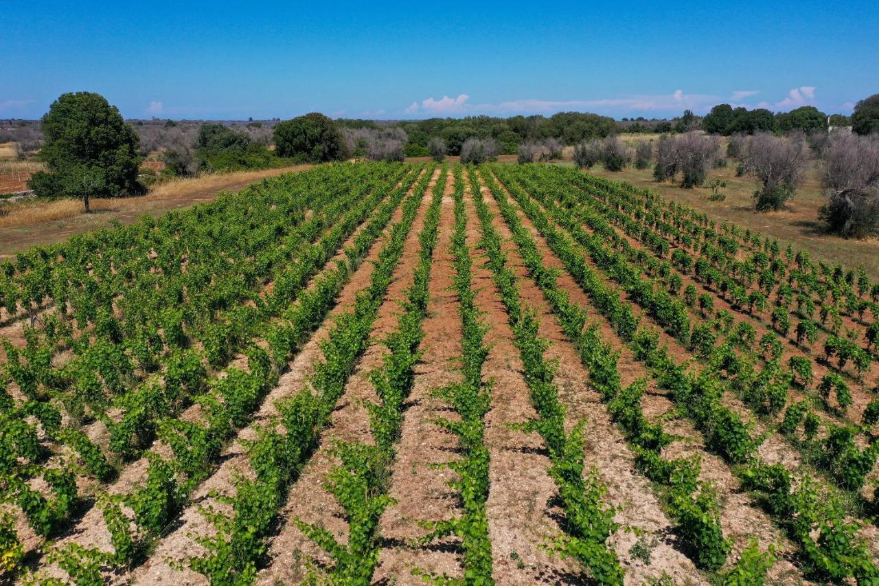 Masseria Lilei Lizzanello Luaran gambar