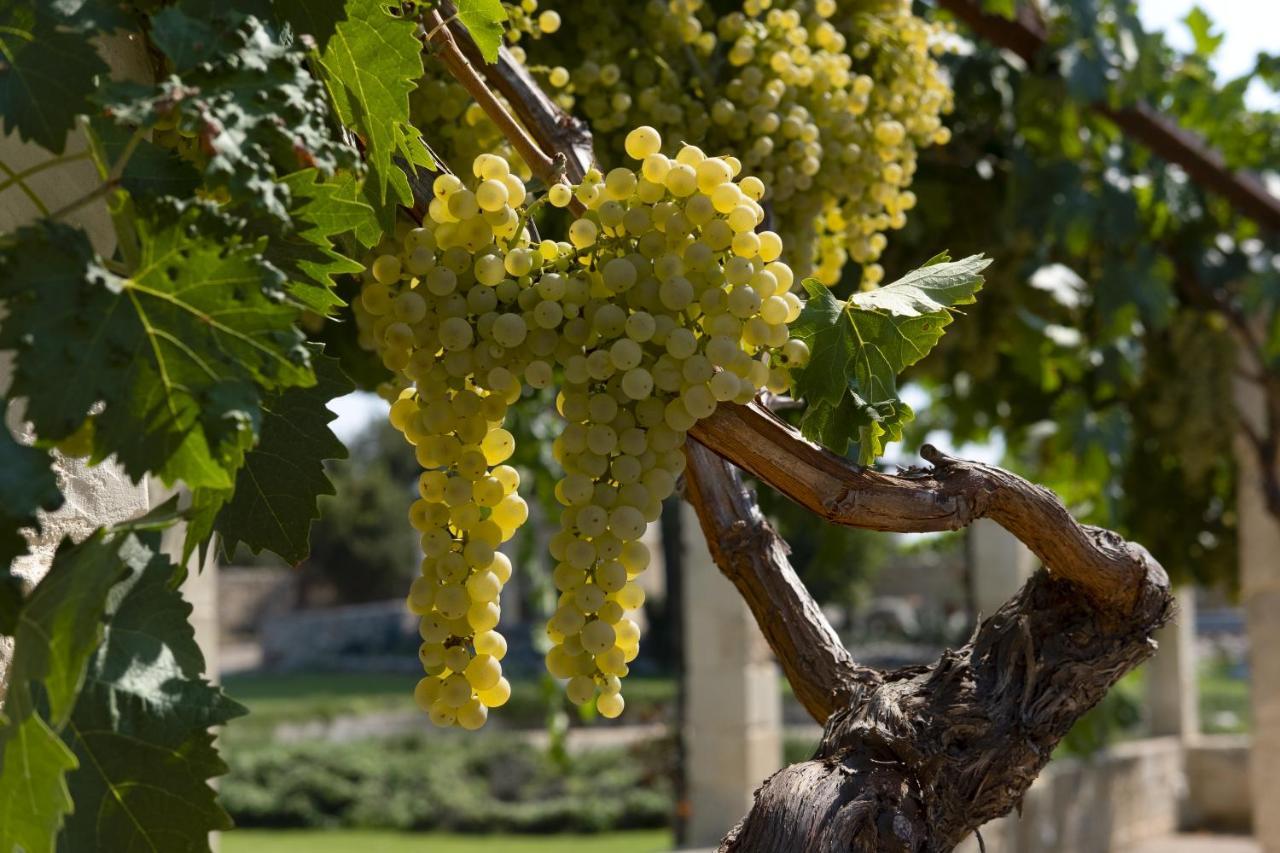 Masseria Lilei Lizzanello Luaran gambar